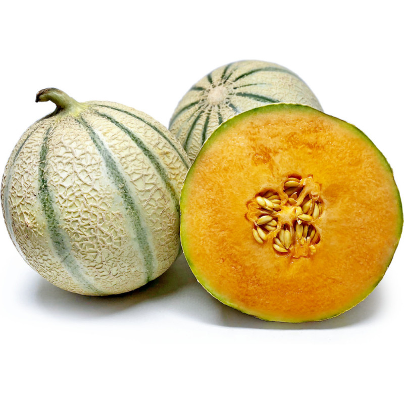 Philibon Melon Charentais