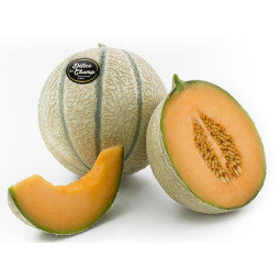 Delices Des Champs Charentais Melon