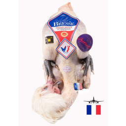 Chilled Pdo Bresse Young Female Chicken Eviscerated   法國布雷斯母幼雞 (連頭，腳及內臟)  Mieral