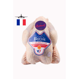 Chilled Pdo Bresse Young Female Chicken O/R    法國布雷斯母幼雞(去內臟)  Mieral