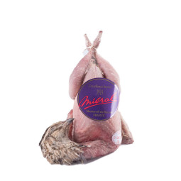 Chilled Quail Effile/Eviscerated 250  Eas  法國鵪鶉(連頭，腳及內臟)  Mieral