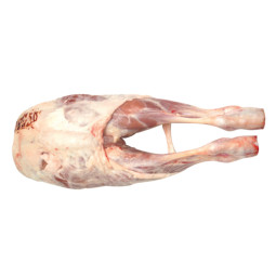 Culotte - Double Leg - AXURIA Pyrenean Lamb