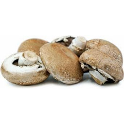 Portobello Mushroom