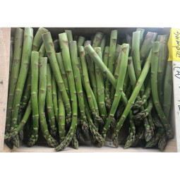 Green Asparagus -cal 16/22