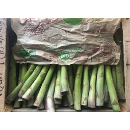 Green Asparagus - cal 26+