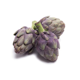 Baby Purple Artichoke