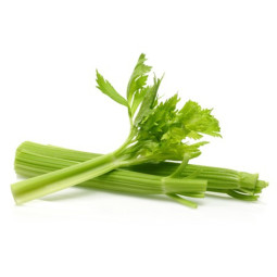 Celery Branch