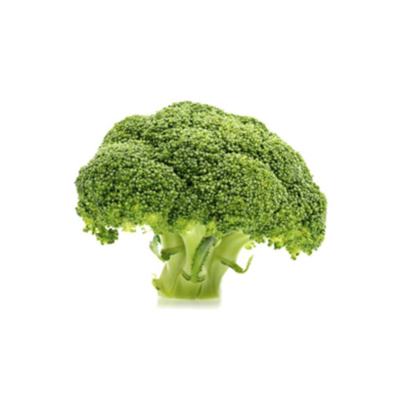 Broccoli  西蘭花