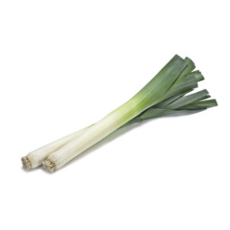 Leek  韭蔥