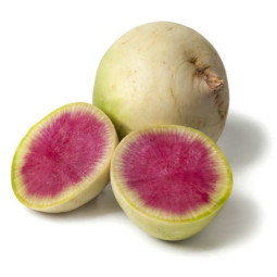 Red Meat Radish 紅肉蘿蔔