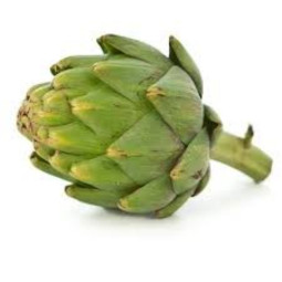 Calicot Artichoke