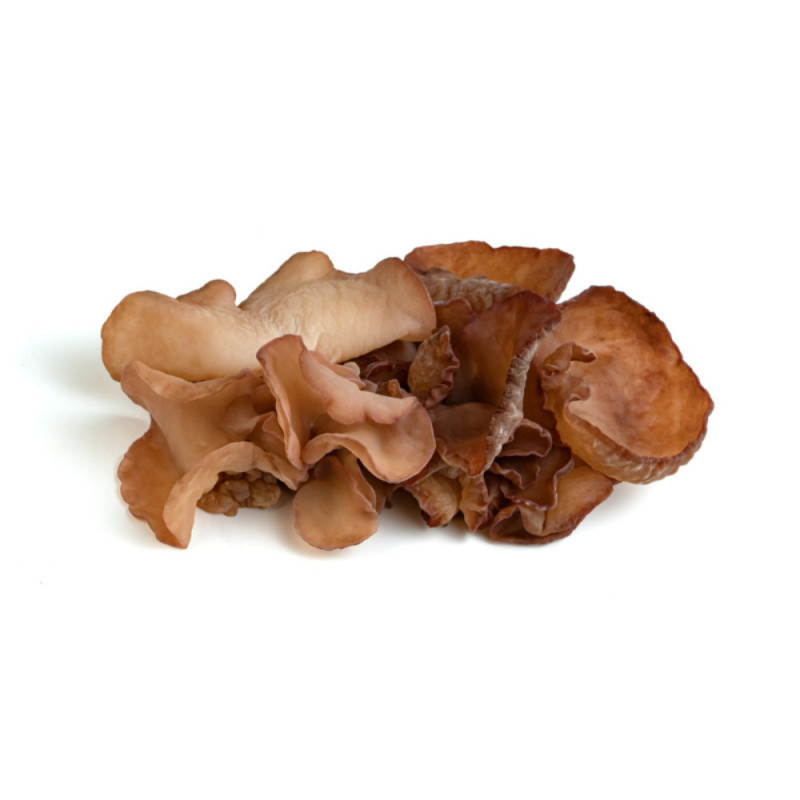 Chilled Mushroom  Judas Ears    木耳菇  Selected By Cff