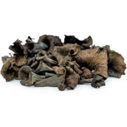 Chilled Mushroom  Black Trumpets    黑喇叭菇  Selected By Cff
