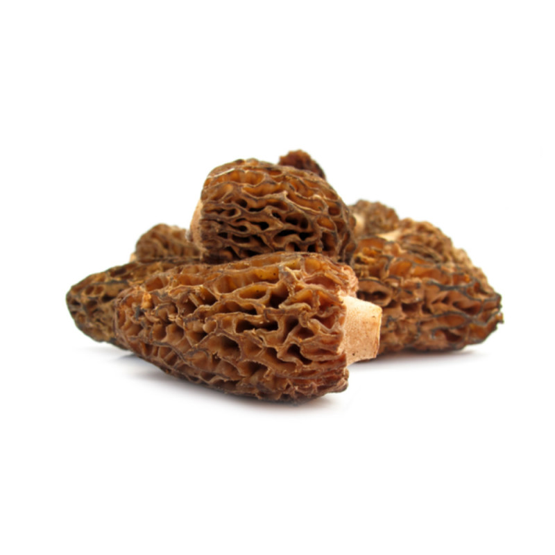 Morels China