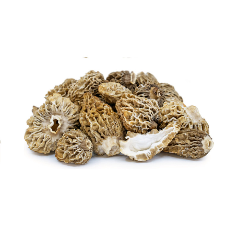 Fresh Morels - Small - 2/3cm from Turkey