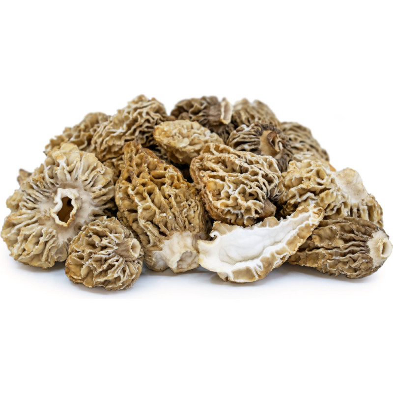 Fresh Morels - Large 5/8cm from Turkey