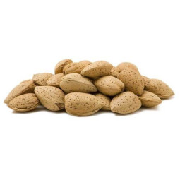 Fresh Almond