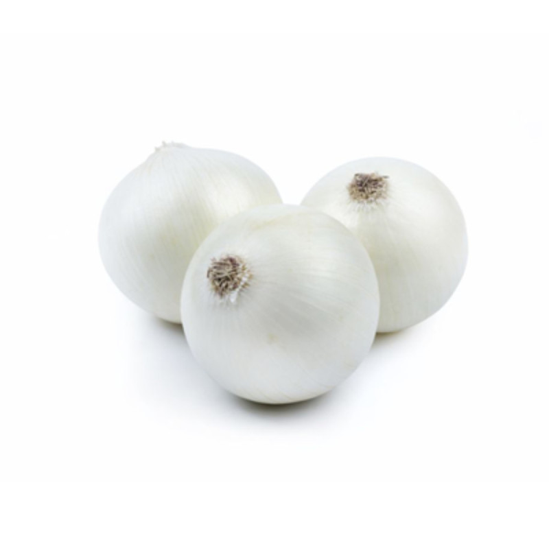 Fresh White Onion In Bunches