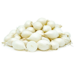 Chilled White Baby Onion Grelot    白色洋蔥仔  Selected By Cff