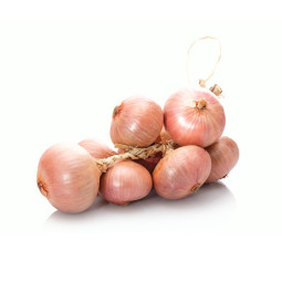 Roscoff Onion Cal 60/80
