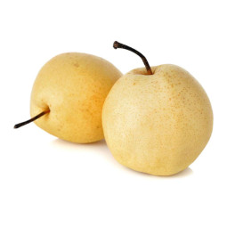 Nachi Pear