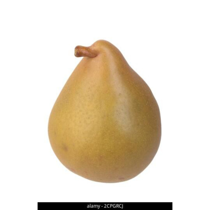 Fresh Pear Grand Champion - Cal 70 / 75