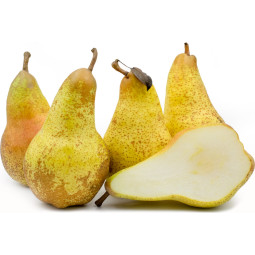 Abate Pear - Cal 70/75