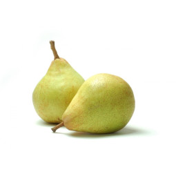 Guyot Pear - CAL 70/75