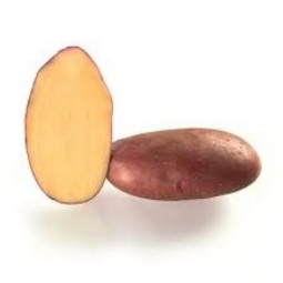 Cherie Potato Cal 35/ 55  Selected By Cff