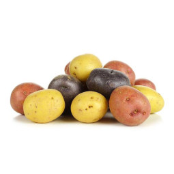 Mixed Colored Baby Potato