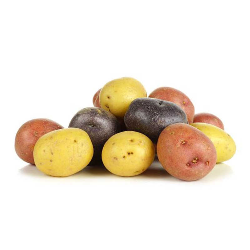 Mixed Colored Baby Potato