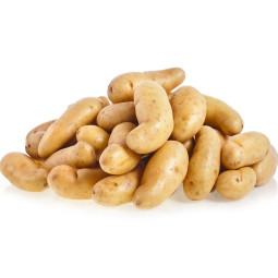 Ratte Grenaille Potato Cal 28/35  Selected By Cff