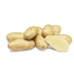 Potato - Primeur Spunta - Cal 60+