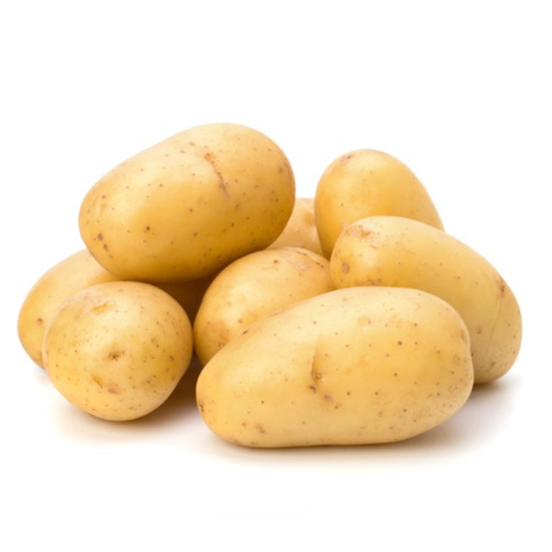 Potato Ideal For Fires  Cal 50+  Selected By Cff