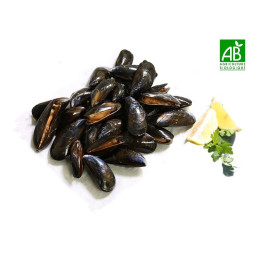 Chilled Irish Rope Mussels