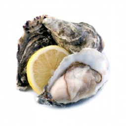 Chilled Irish Oyster Psk No 2    愛爾蘭石蠔  Parcs St Kerber