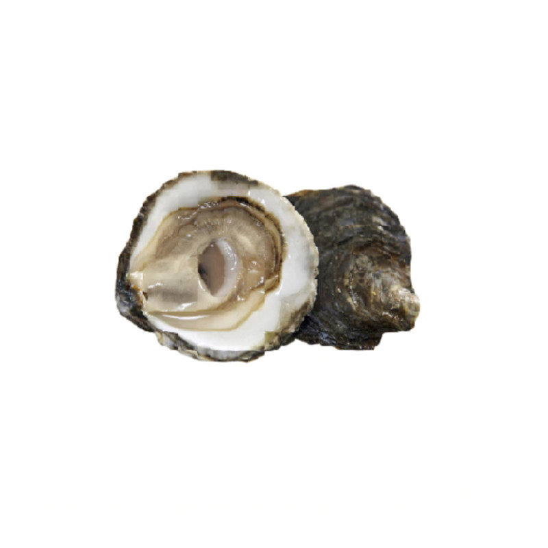 Chilled Belon Oyster "1930" N.5    貝隆生蠔  Parcs St Kerber