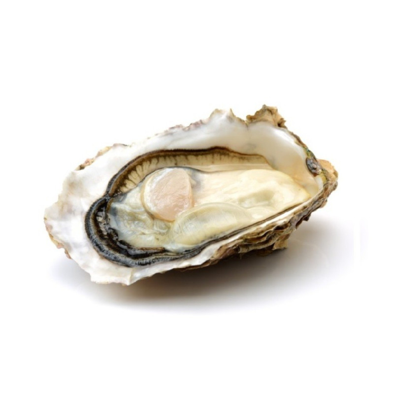 Chilled Muirgen Oyster  No.2 Large 50 Ea/Cs  法國冰鮮摩根生蠔  2號  大  Parcs St Kerber