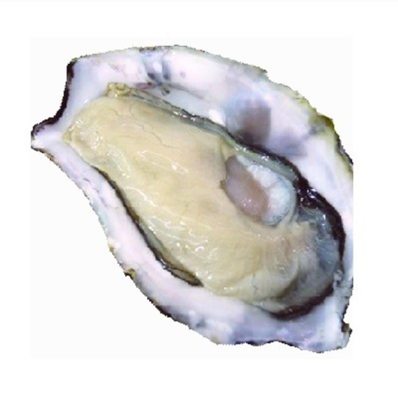 Chilled Oyster Saint Michel No.4    聖米歇爾山蠔  Parcs St Kerber