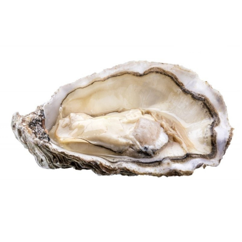 Chilled Fine De Saint Kerber Oyster N.0    法國紛迪加蠔  Parcs St Kerber