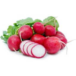 Red Radish