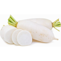 Chilled White Raddish Daikon     白蘿蔔  Selected By Cff