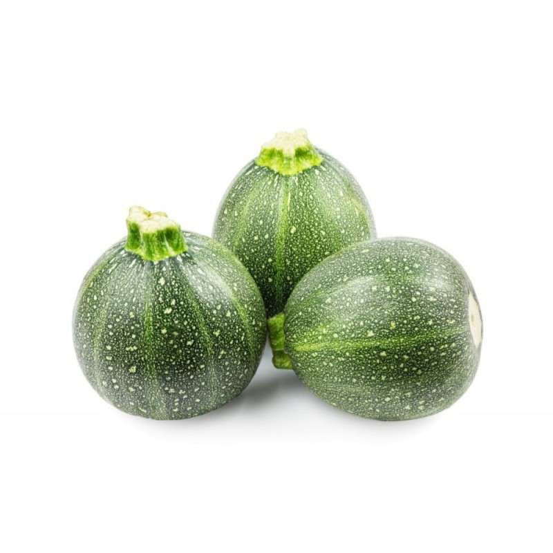 Round Green Zucchini