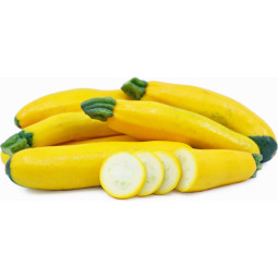 Yellow Fine Zucchini Latour