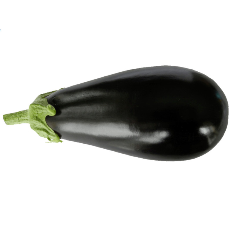 Chilled Black Eggplant Filiere Metro    黑皮茄子  Metro Chef