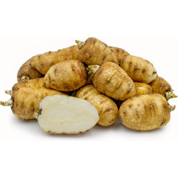 Chilled Turnip Rooted Chervil Metro    英芫茜  Metro Chef