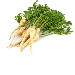 Chilled Parsley Root    香芹根  Selected By Cff