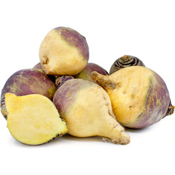 Chilled Swede Turnip (Rutaeaa)    蕪菁甘藍  Selected By Cff