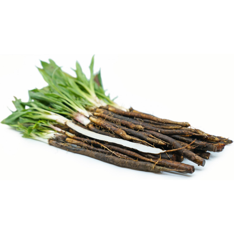 Chilled Salsify/Scorsonere    新鮮樹根  Selected By Cff