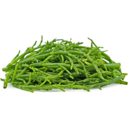 Samphire